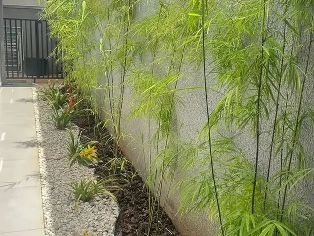 Imagem 16: Casa no Residencial Jardim Europa