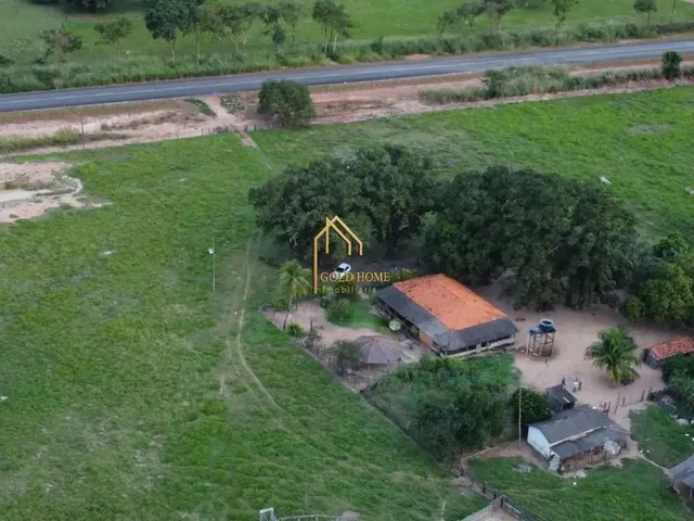 Imagem: Fazenda À Venda de 113 Hectares no Cáceres-Mt