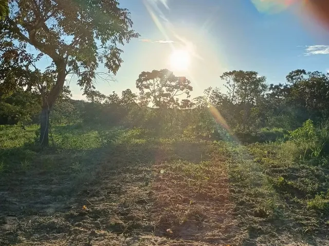Imagem: Sítio a Venda 5 Hectare no Monjolo