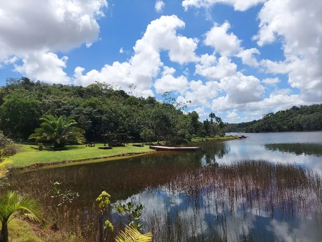 Imagem: Terreno de 5.000m² na Reserva Tucunaré