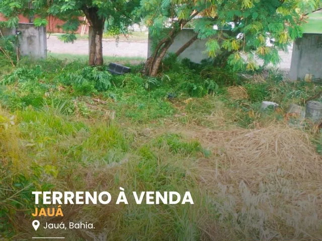 Imagem: Terreno Comercial em Camaçari - Ba, Jauá