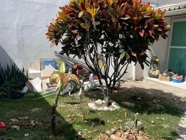Imagem 8: Excelente Ponto Comercial na Praça de Arcanja