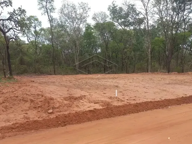 Imagem 1: Terreno para Barracão - Vila Aviação B