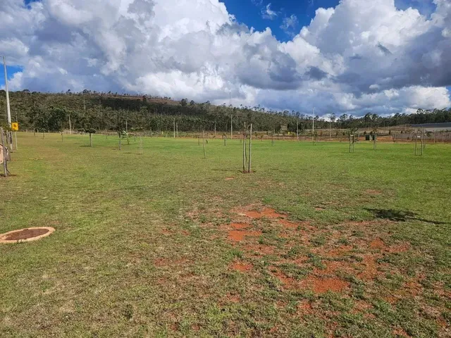 Imagem: Lote À Venda em Alphaville - Lagoa dos