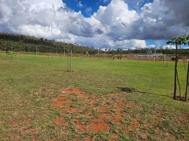 Imagem 13: Lote À Venda em Alphaville - Lagoa dos Ingleses - Nova Lima - Mg
