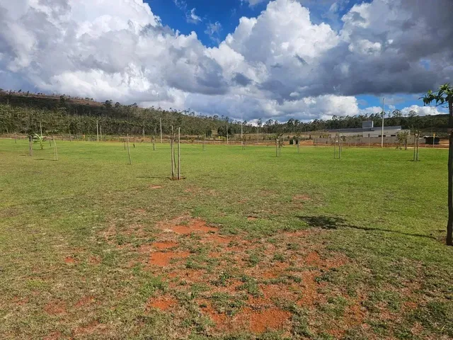Imagem 7: Lote À Venda em Alphaville - Lagoa dos Ingleses - Nova Lima - Mg