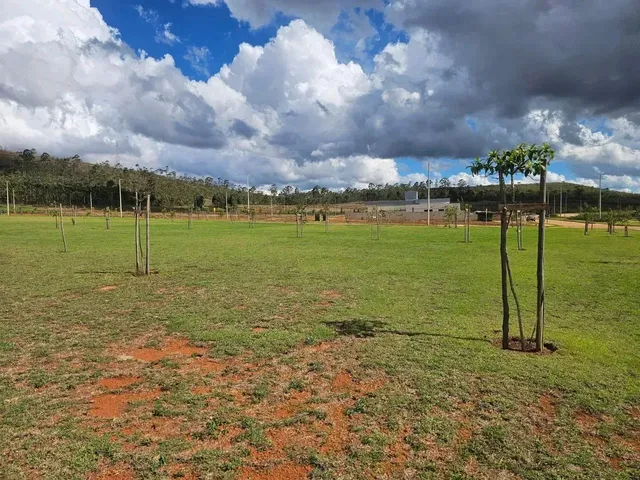 Imagem 11: Lote À Venda em Alphaville - Lagoa dos Ingleses - Nova Lima - Mg