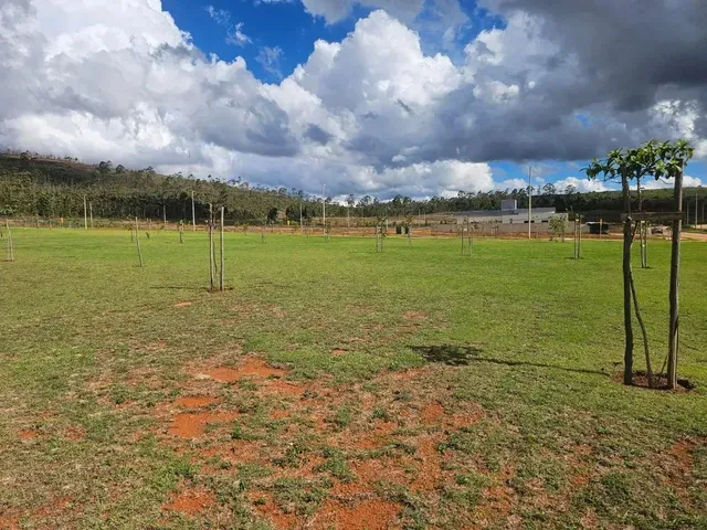 Imagem 12: Lote À Venda em Alphaville - Lagoa dos Ingleses - Nova Lima - Mg