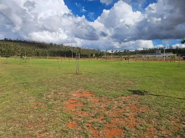 Imagem 9: Lote À Venda em Alphaville - Lagoa dos Ingleses - Nova Lima - Mg