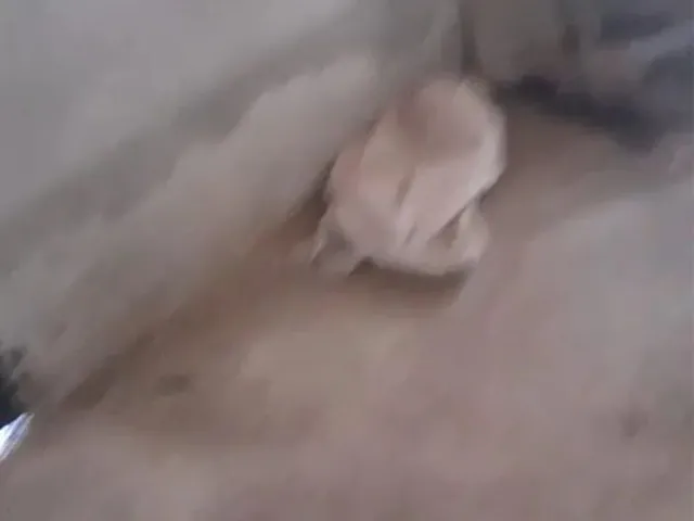 Imagem 11: Vendo Casa Vale do Jatobá