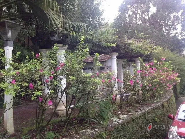 Imagem: Parque Ipiranga