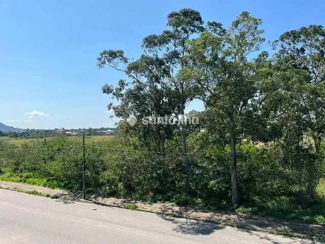 Imagem 6: Apartamento com 2 Dormitórios para Alugar, 66M² - Ribeirão da Ilha - Florianópolis/Sc