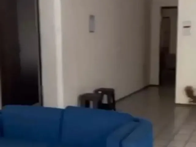 Imagem 15: Casa Plana na Praia do Icaraí