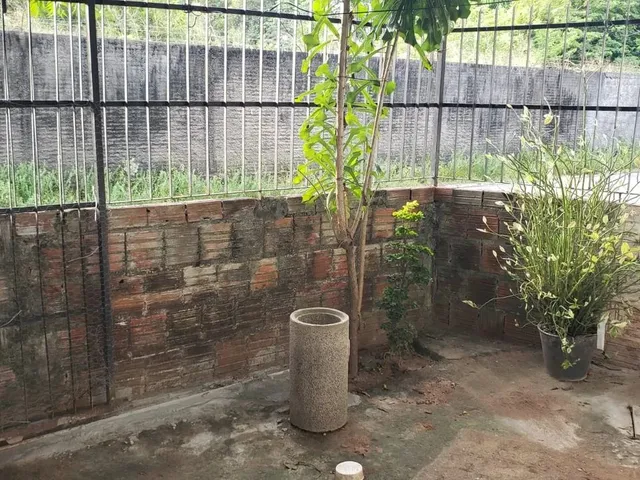 Imagem 2: Lindo Kitnet Casa com 1 dormitório
