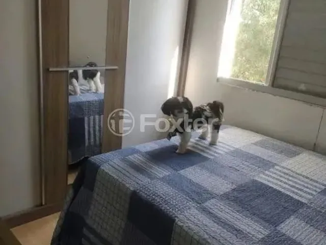 Imagem 5: Apartamento À Venda Rua Machadinho, Rio Branco - Canoas