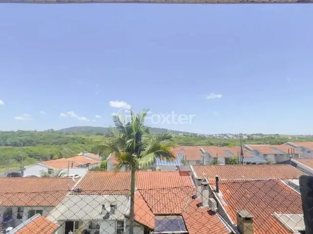 Imagem 15: Casa em Condomínio À Venda Acesso Terra Nova, Terra Nova - Alvorada
