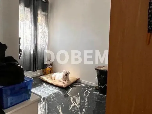 Imagem 2: Casa 2 Dormitórios no Terra Nova com Vaga para 2 Carros