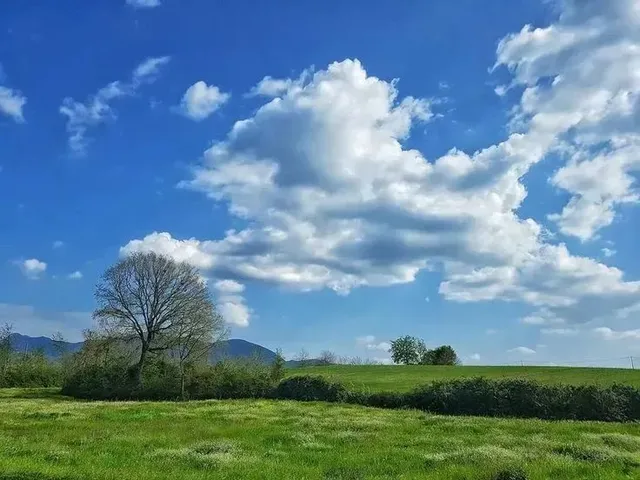 Imagem: Terreno em Ibiúna com Preço Que Cabe no