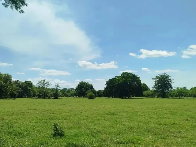 Imagem 5: Terreno em Ibiúna Barato e Pronto pra Investir