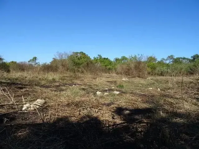 Imagem: Terreno em Ibiúna Cercado de Natureza e