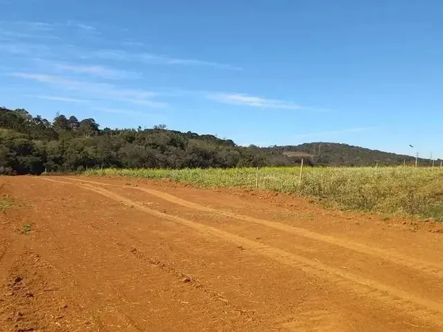 Imagem 6: Próximo de Tudo Que Facilita Sua Vida