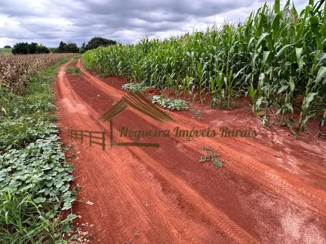 Imagem 1: Sitio com 2 Alqueires em Cesário Lange-Sp