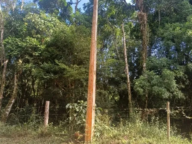 Imagem 3: Terreno 1000M2 em Ibiuna