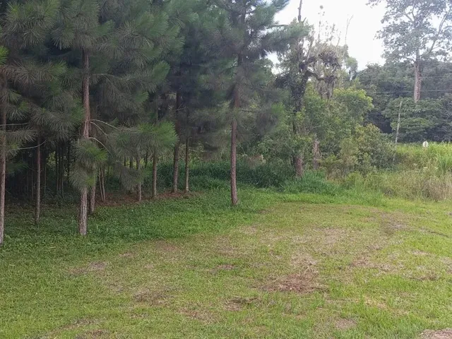 Imagem: Terreno para Chácara na Estrada do Verava