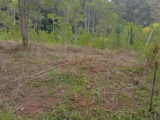 Imagem 3: Terreno para Chácara na Estrada do Verava - Ibiuna