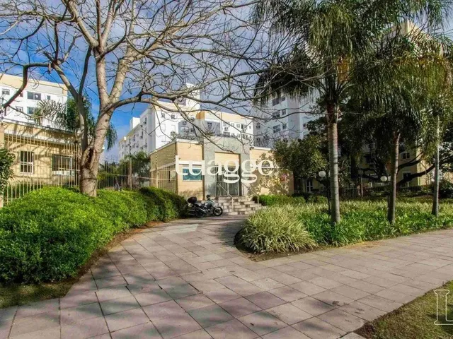 Imagem: Apartamento para Alugar no Bairro Cavalhada