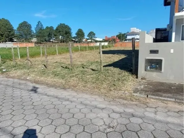 Imagem: . Evite Fraudes. Esse É Meu Telefone Verdadeiro