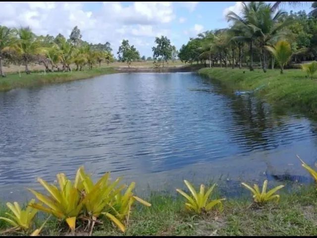 Imagem: Fazenda 36 Hectares em Canavieiras/Ba
