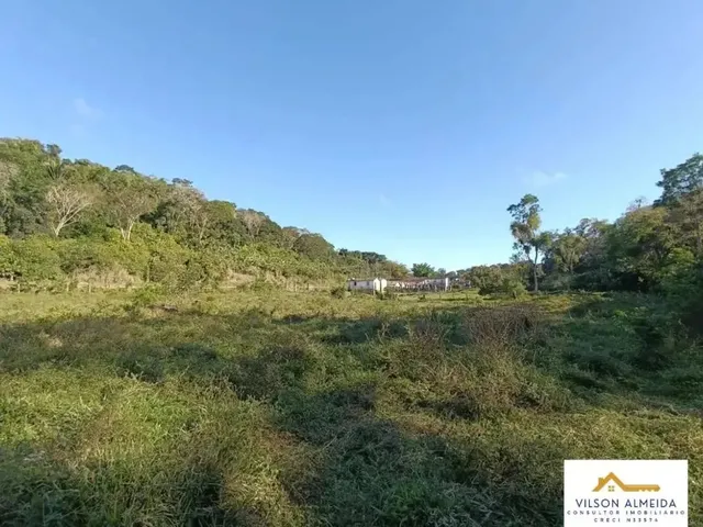 Imagem 8: Áreas À Venda em Rua Pública, Zona Rural, Itabuna, Ba