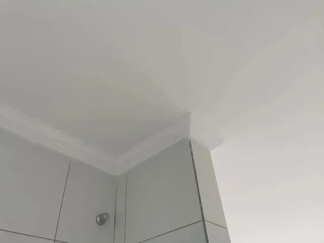 Imagem 3: Lançamento Casas no Cristo