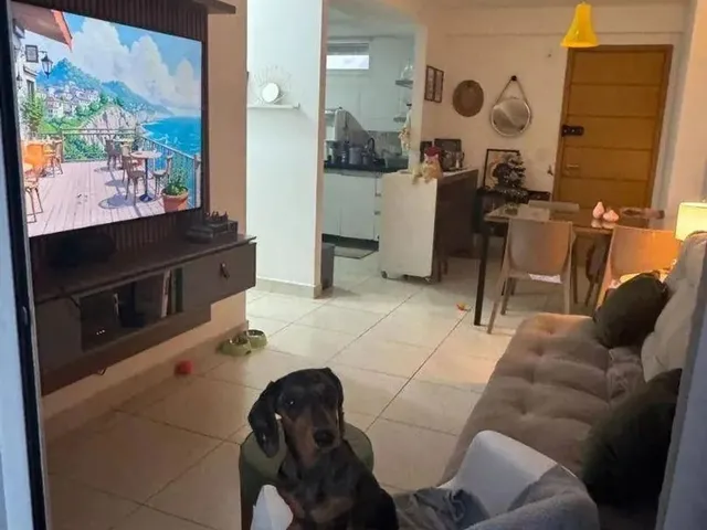Imagem 2: Apartamento com 2 Dormitórios À Venda, 57 M² por R$ 480.000,00 - Brisamar - João