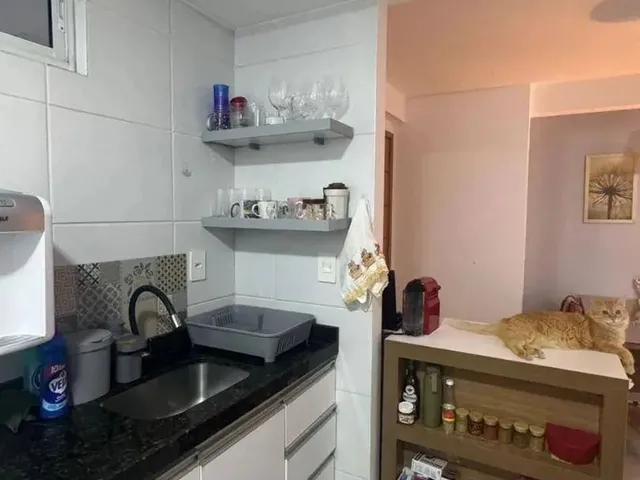 Imagem 13: Apartamento com 2 Dormitórios À Venda, 57 M² por R$ 480.000,00 - Brisamar - João