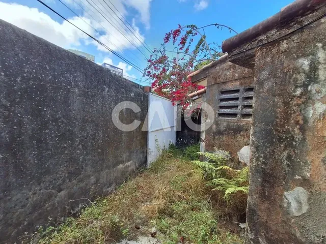 Imagem 7: Casa em Capim Macio
