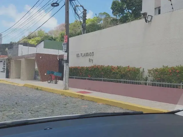 Imagem: Oportunidade Flamingo