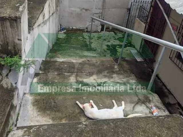 Imagem 2: Casa de rua : / Residencial / Alvorada