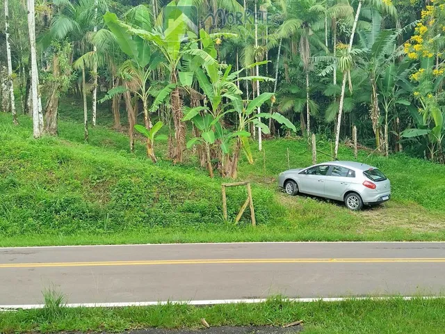 Imagem 2: Área Residencial/Comercial em Morro Grande, Morretes/PR