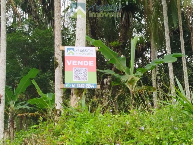Imagem 16: Área Residencial/Comercial em Morro Grande, Morretes/PR