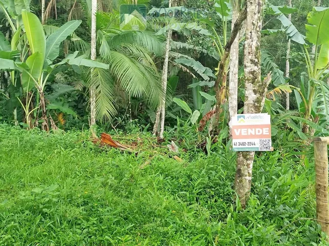 Imagem 13: Área Residencial/Comercial em Morro Grande, Morretes/PR