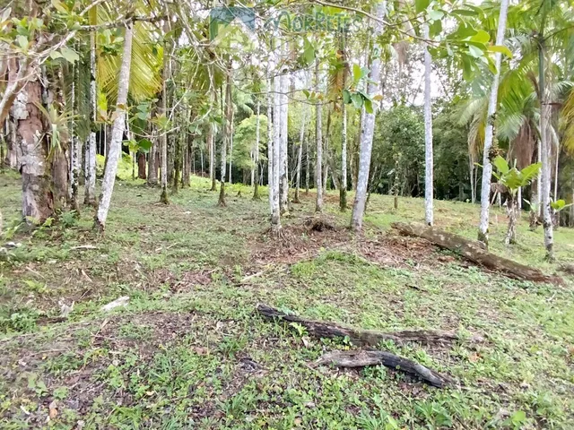 Imagem 5: Área Residencial/Comercial em Morro Grande, Morretes/PR