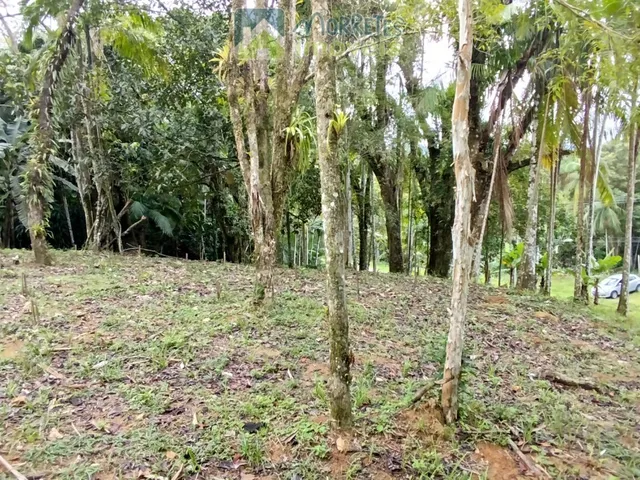 Imagem 11: Área Residencial/Comercial em Morro Grande, Morretes/PR