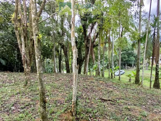 Imagem 6: Área Residencial/Comercial em Morro Grande, Morretes/PR