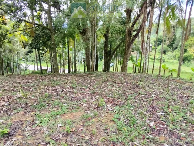 Imagem 9: Área Residencial/Comercial em Morro Grande, Morretes/PR