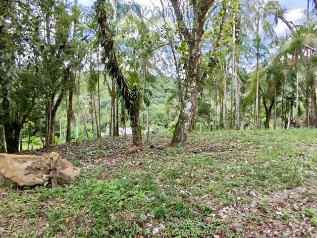 Imagem 15: Área Residencial/Comercial em Morro Grande, Morretes/PR