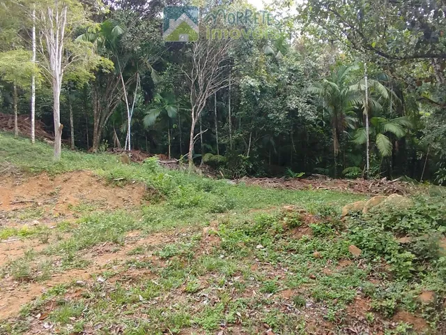 Imagem 10: Área Residencial/Comercial em Morro Grande, Morretes/PR