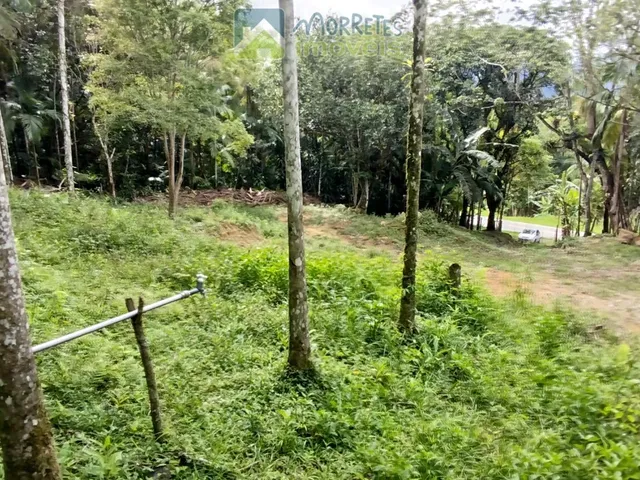 Imagem 12: Área Residencial/Comercial em Morro Grande, Morretes/PR