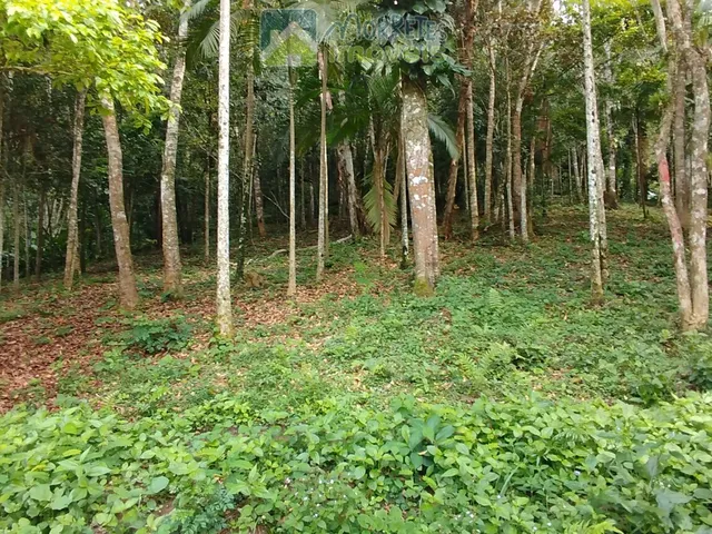 Imagem 8: Área Residencial/Comercial em Morro Grande, Morretes/PR